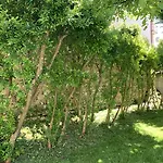 Bed & Breakfast Ca' Bert Dei Glicini Castelnuovo del Garda