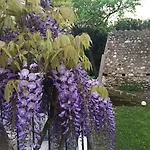 Ca' Bert Dei Glicini 4* Castelnuovo del Garda