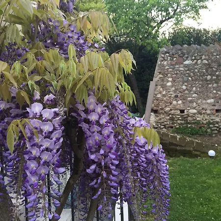 Ca' Bert Dei Glicini 4* Castelnuovo del Garda