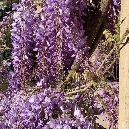 Ca' Bert Dei Glicini ベッド・アンド・ブレックファスト 4*