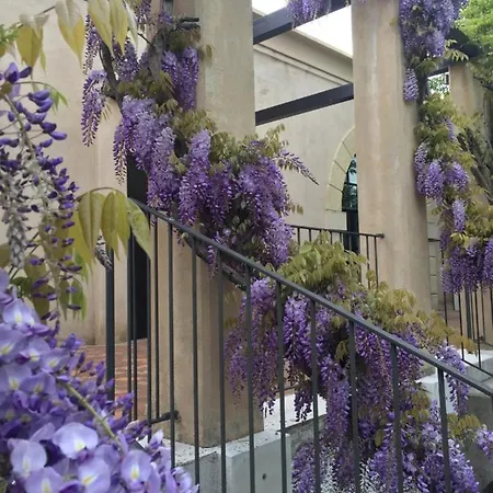 Ca' Bert Dei Glicini カステルヌオーヴォ・デル・ガルダ