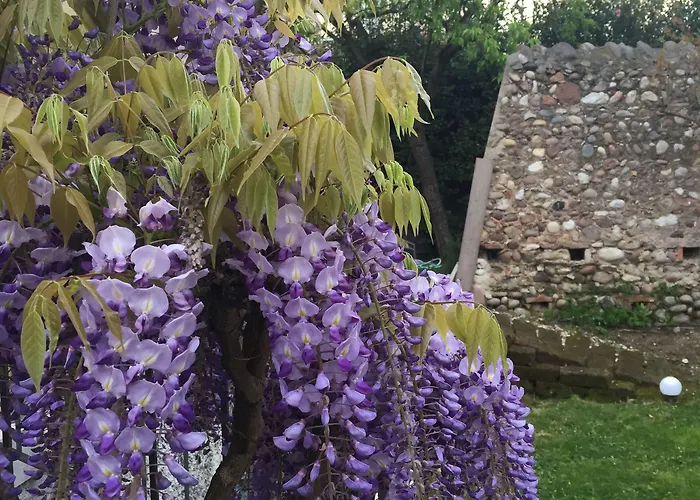 Ca' Bert Dei Glicini 4* Castelnuovo del Garda