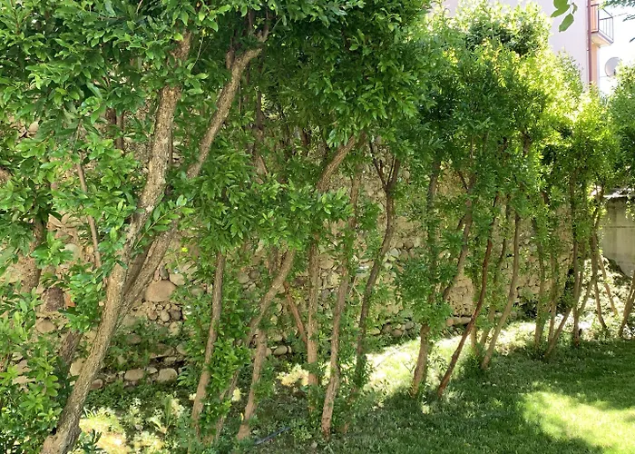 Bed and Breakfast Ca' Bert Dei Glicini Castelnuovo del Garda