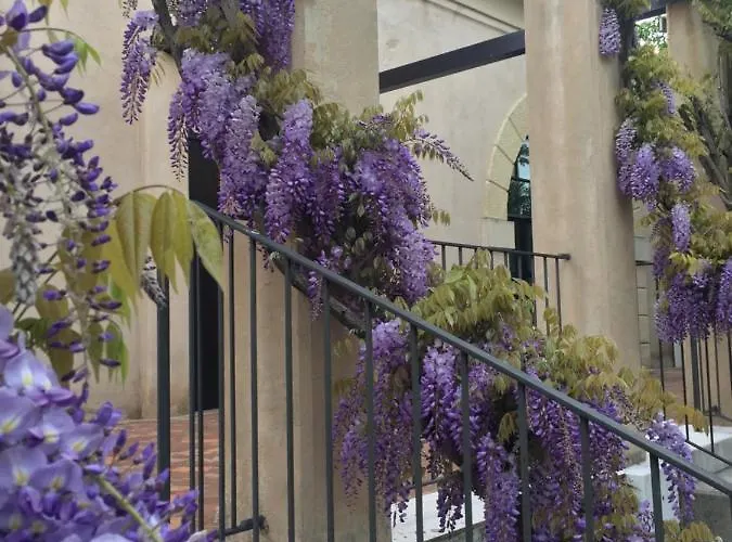 Ca' Bert Dei Glicini Castelnuovo del Garda