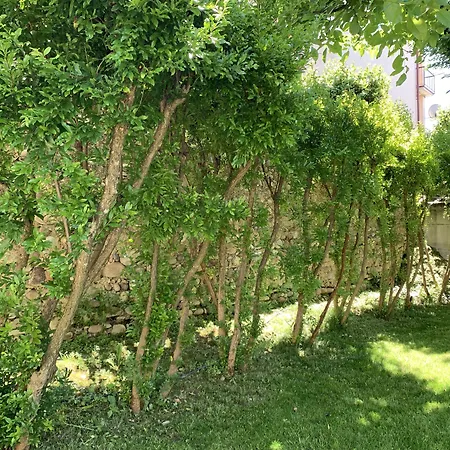 住宿加早餐酒店 Ca' Bert Dei Glicini 卡斯特努沃德加尔达